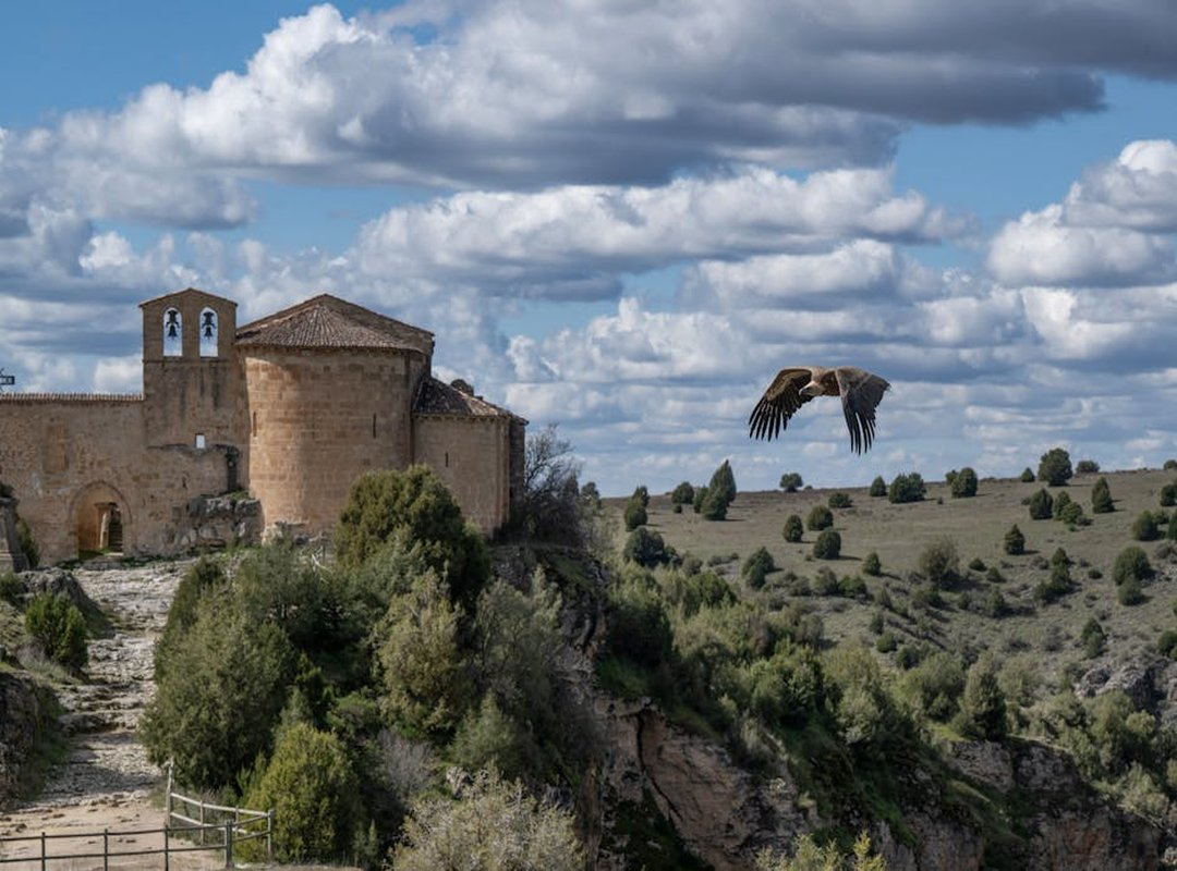 Técnicas y Consejos para Colorear Dibujos Artísticos de Mujeres