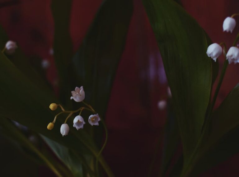 lily_off_valley leaked