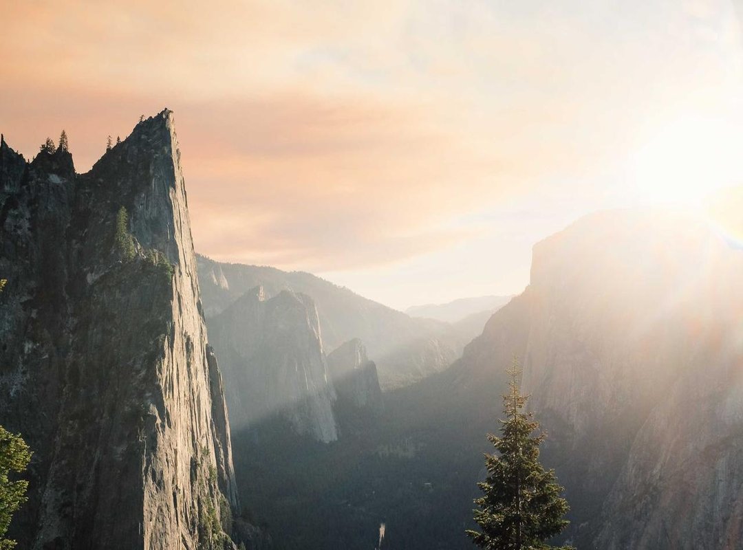 A Viral Tragedy: The Unconscionable Spread of Graphic Images