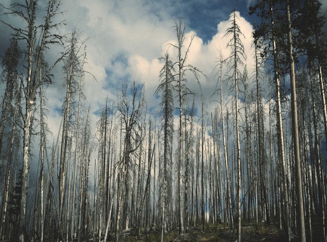 The Stylist Conversation: How to Ask for Exactly What You Want