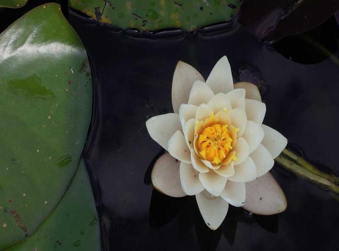 Top Picks: Best Deals and Offers