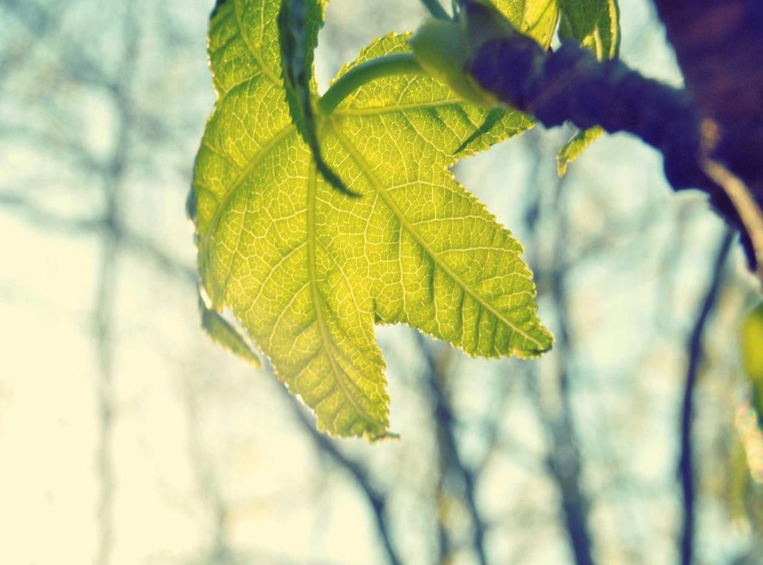 The Final Verdict: Should You Trust Trade Serax 13.0?