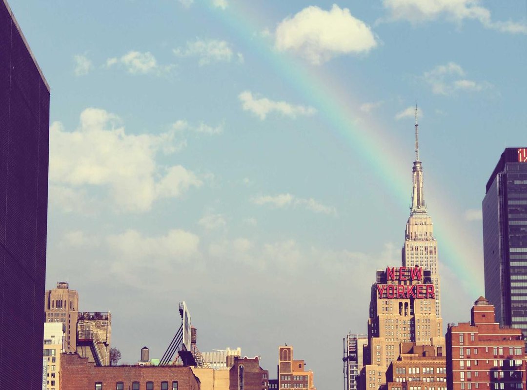 Pros and Cons: Factors to Consider When Buying Vino Sanson