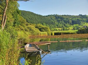 vinted betaald maar aankoop mislukt