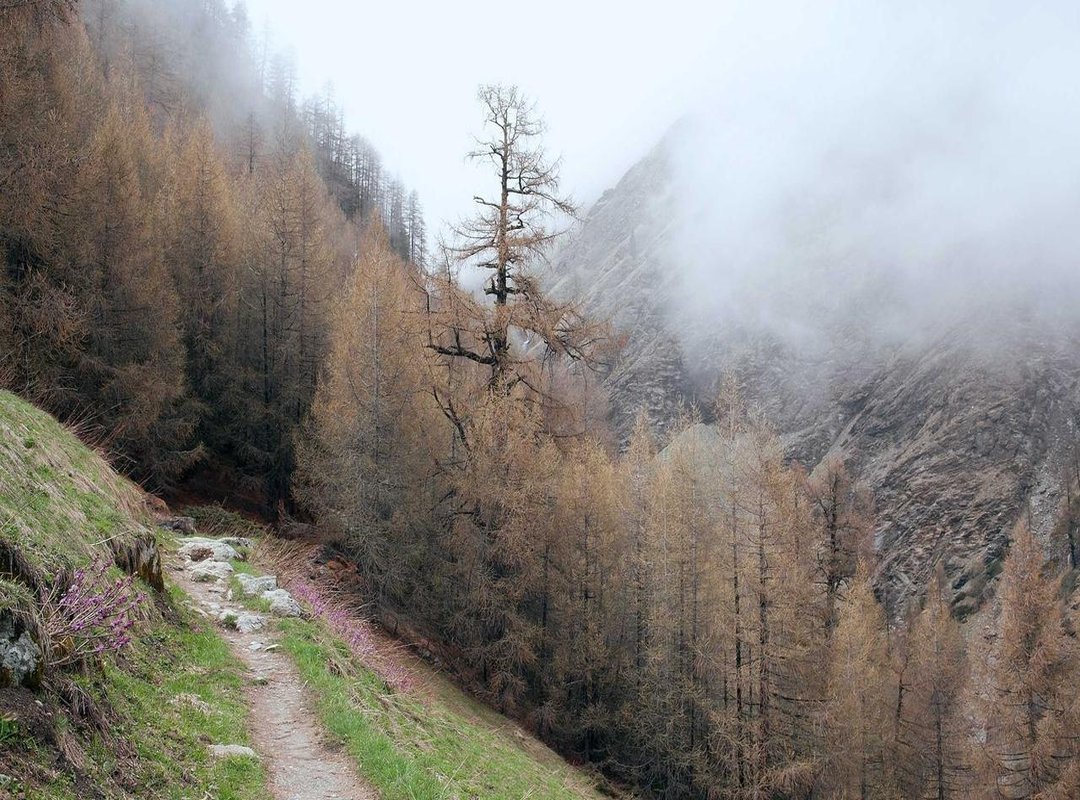 From Forecast to Beach: Practical Planning Tips